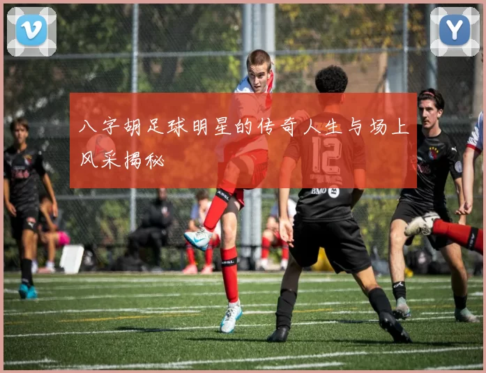 八字胡足球明星的传奇人生与场上风采揭秘