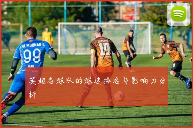 英超各球队的球迷排名与影响力分析