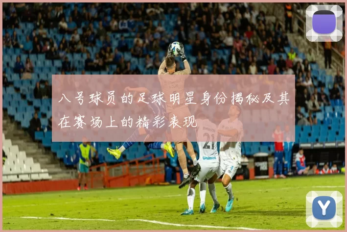 八号球员的足球明星身份揭秘及其在赛场上的精彩表现