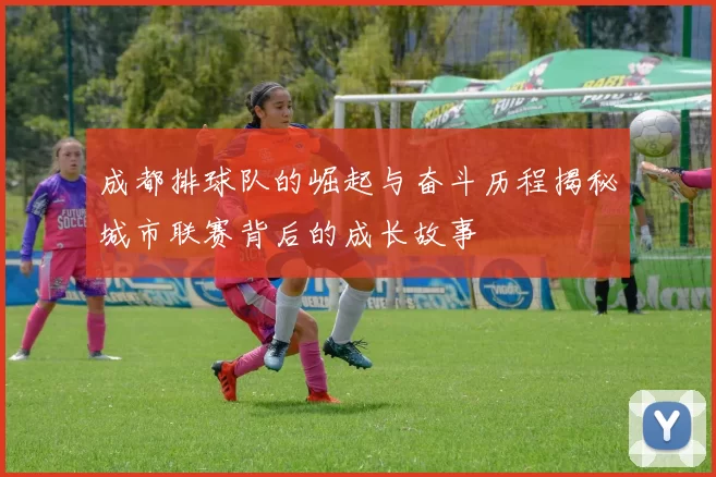 成都排球队的崛起与奋斗历程揭秘城市联赛背后的成长故事