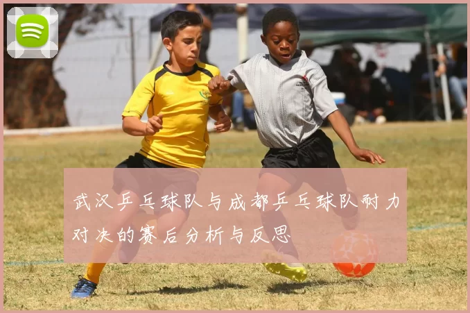 武汉乒乓球队与成都乒乓球队耐力对决的赛后分析与反思