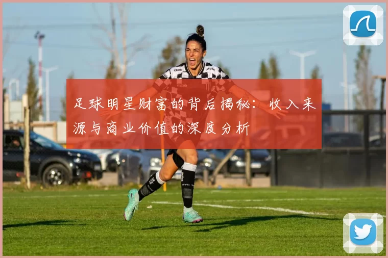 足球明星财富的背后揭秘：收入来源与商业价值的深度分析