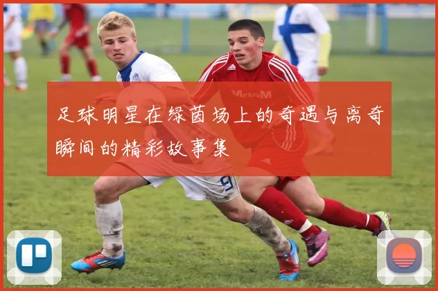 足球明星在绿茵场上的奇遇与离奇瞬间的精彩故事集