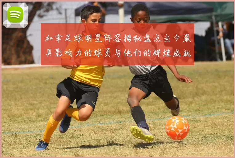 加拿足球明星阵容揭秘盘点当今最具影响力的球员与他们的辉煌成就