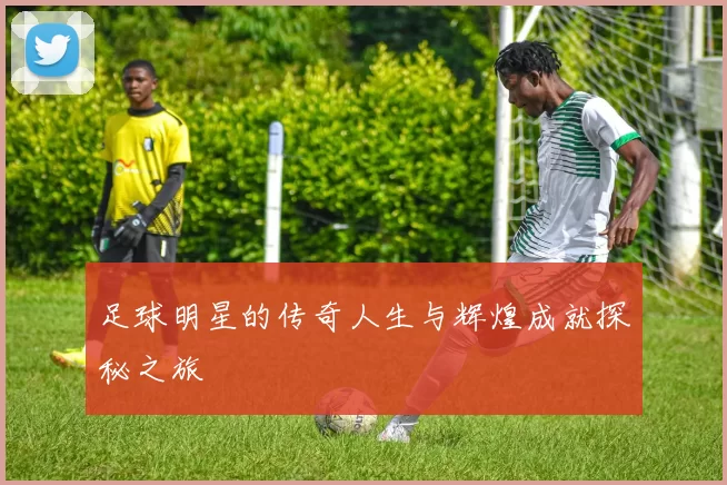 足球明星的传奇人生与辉煌成就探秘之旅