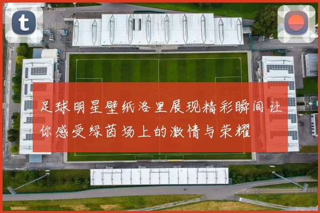 足球明星壁纸洛里展现精彩瞬间让你感受绿茵场上的激情与荣耀