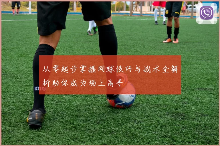 从零起步掌握网球技巧与战术全解析助你成为场上高手