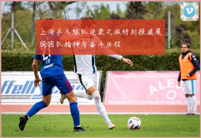 上海乒乓球队逆袭之旅特别报道展现团队精神与奋斗历程