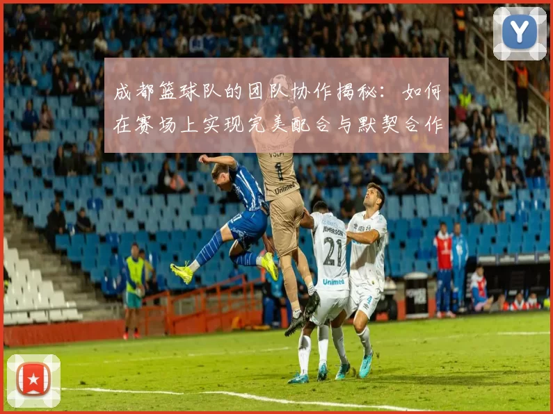 成都篮球队的团队协作揭秘：如何在赛场上实现完美配合与默契合作