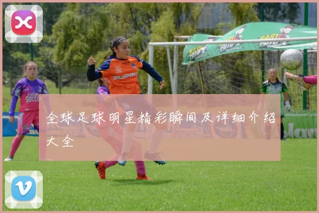 全球足球明星精彩瞬间及详细介绍大全
