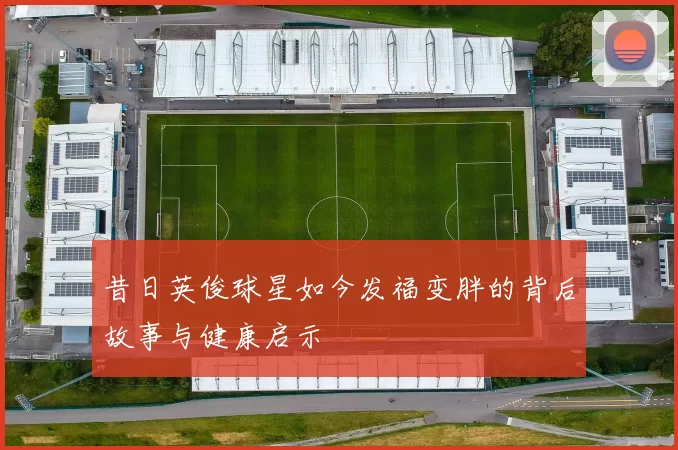 昔日英俊球星如今发福变胖的背后故事与健康启示