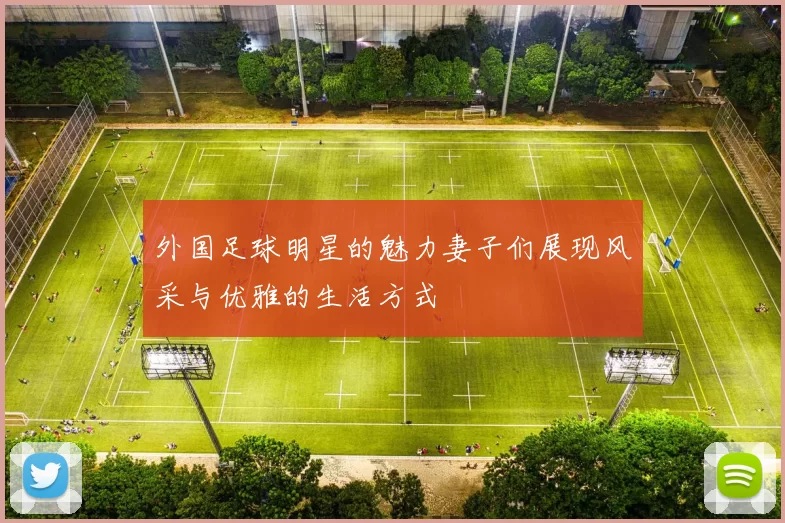 外国足球明星的魅力妻子们展现风采与优雅的生活方式