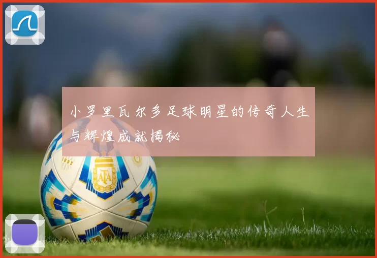 小罗里瓦尔多足球明星的传奇人生与辉煌成就揭秘