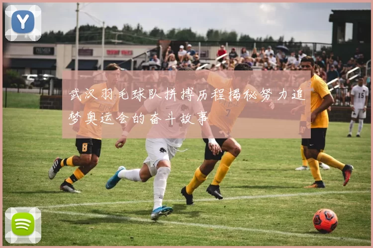 武汉羽毛球队拼搏历程揭秘努力追梦奥运会的奋斗故事