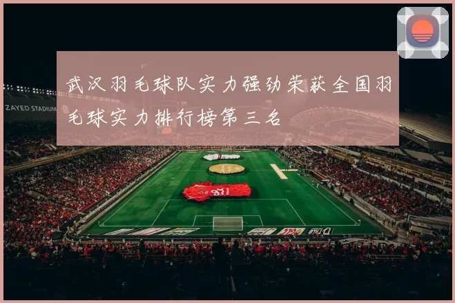 武汉羽毛球队实力强劲荣获全国羽毛球实力排行榜第三名
