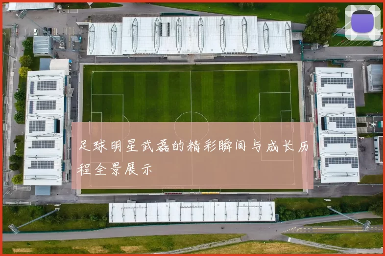 足球明星武磊的精彩瞬间与成长历程全景展示