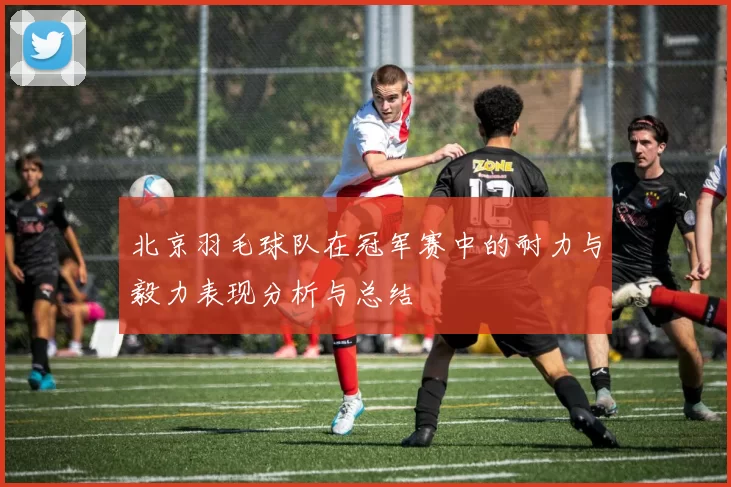 北京羽毛球队在冠军赛中的耐力与毅力表现分析与总结
