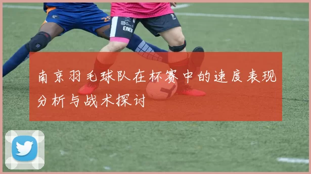 南京羽毛球队在杯赛中的速度表现分析与战术探讨