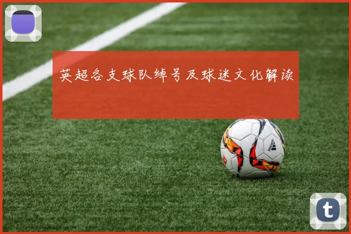 英超各支球队绰号及球迷文化解读