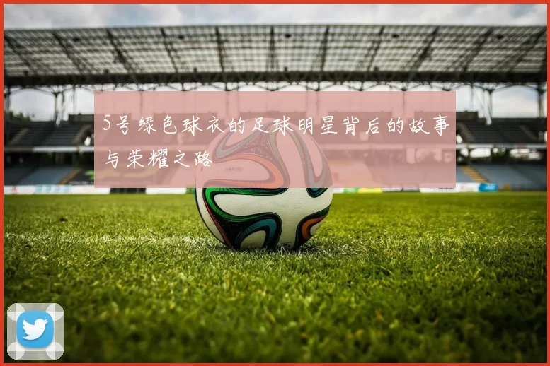 5号绿色球衣的足球明星背后的故事与荣耀之路