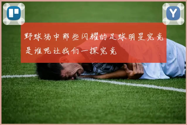 野球场中那些闪耀的足球明星究竟是谁呢让我们一探究竟