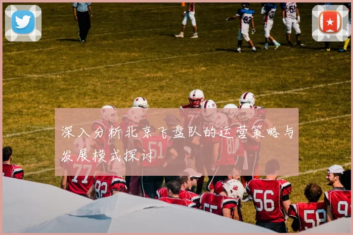 深入分析北京飞盘队的运营策略与发展模式探讨
