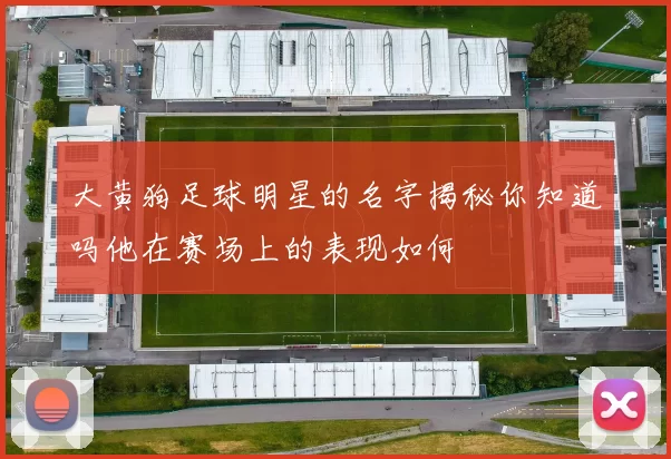 大黄狗足球明星的名字揭秘你知道吗他在赛场上的表现如何