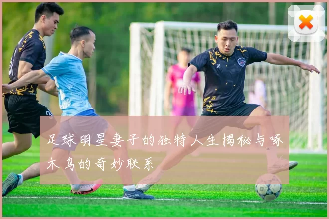 足球明星妻子的独特人生揭秘与啄木鸟的奇妙联系