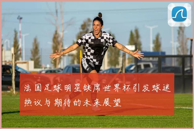 法国足球明星缺席世界杯引发球迷热议与期待的未来展望