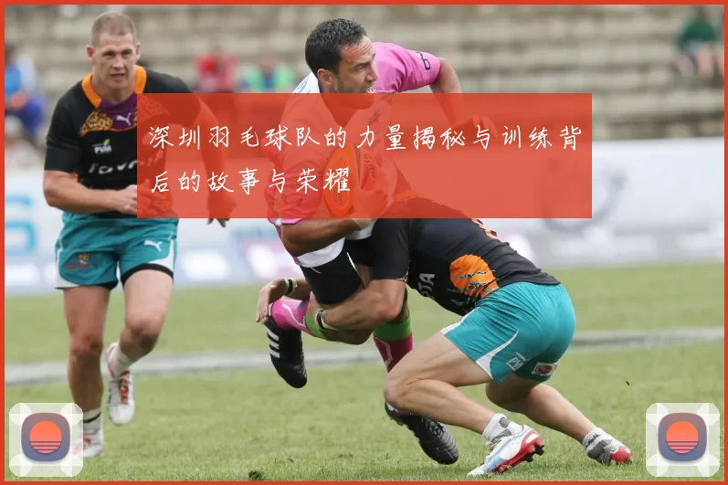 深圳羽毛球队的力量揭秘与训练背后的故事与荣耀